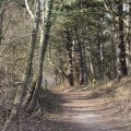 IMG_974691