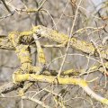 IMG_974702