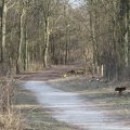 IMG_974707