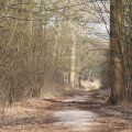 IMG_974708