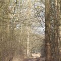 IMG_974709