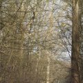 IMG_974710