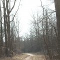IMG_974711