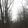 IMG_974712
