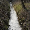 IMG_974713