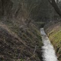 IMG_974714