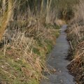 IMG_974715