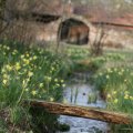 IMG_974718