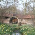IMG_974719