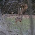 IMG_974724