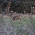 IMG_974728