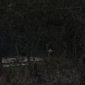 IMG_974730