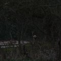 IMG_974731