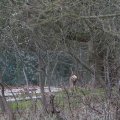 IMG_974734