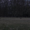 IMG_974738