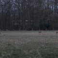 IMG_974739