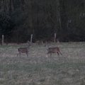 IMG_974744
