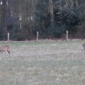 IMG_974747