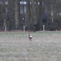 IMG_974748