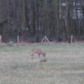 IMG_974749