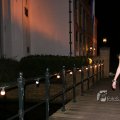 IMG_381386