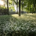 IMG_392732