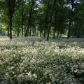IMG_392735