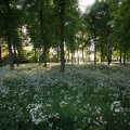 IMG_392778