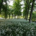 IMG_392831