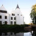 IMG_392868