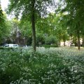 IMG_392904