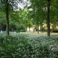IMG_392908