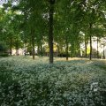 IMG_392914