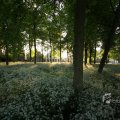 IMG_392924