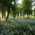 IMG_392934