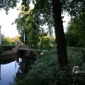 IMG_392979