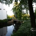 IMG_392984