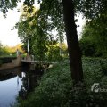 IMG_392987