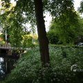 IMG_392990