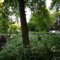 IMG_392992