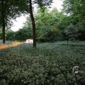 IMG_393001