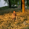 IMG_393038