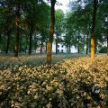 IMG_393039