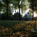IMG_393046