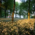 IMG_393069