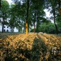 IMG_393077