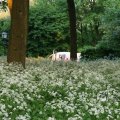 IMG_393093