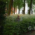 IMG_393096