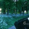 IMG_395090