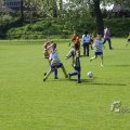 IMG_393164